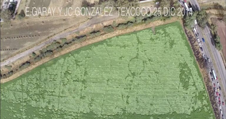 texcoco ufo and crop circles